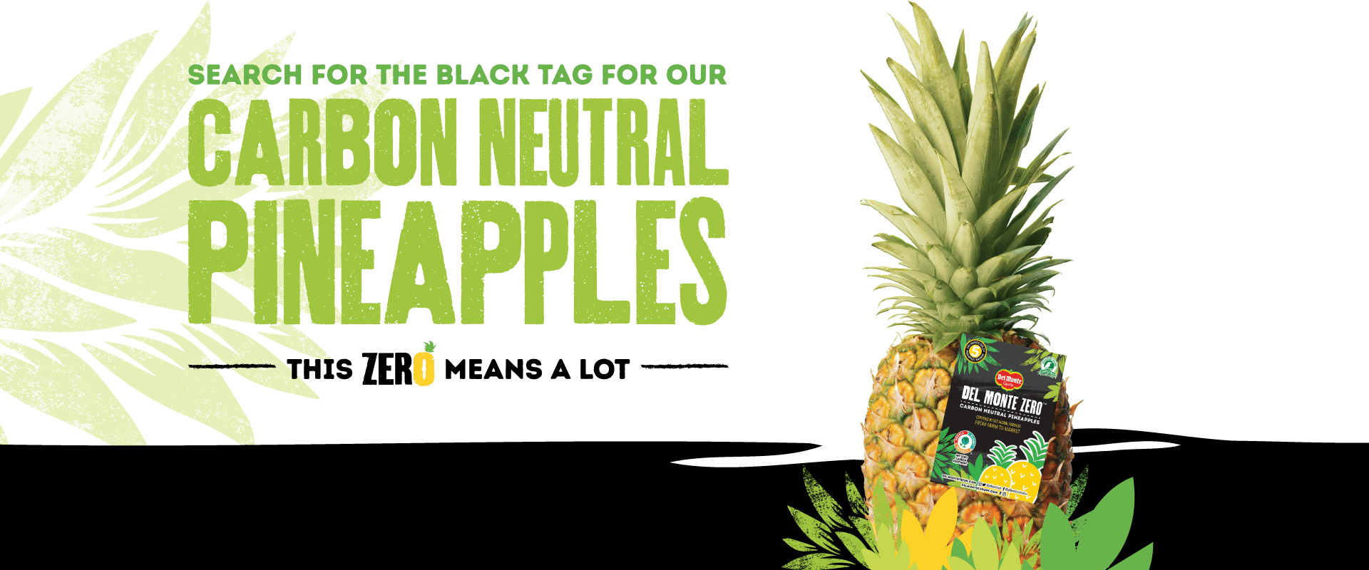 Carbon neutral pineapples